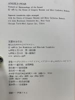 天使のおそれ　 聖なるもののエピステモロジー