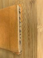 北支と南支の貌