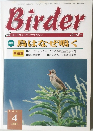 Birder　2000年4月号