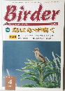 Birder　2000年4月号