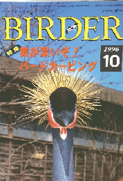 BIRDER　1996年10月号