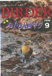 バーダー　1996/9