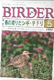 BIRDER　1994年5月号