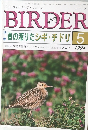 BIRDER　1994年5月号