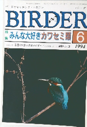 BIRDER　1994年6月号