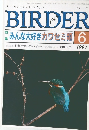 BIRDER　1994年6月号