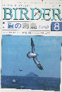 バードウォッチング・マガジン　BIRDER　1994年8月号
