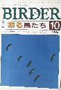 BIRDER　1994年10月号