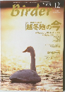 バーダー　2003/12