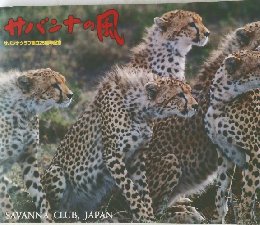 サバンナの風　サバンナクラブ創立25周年記念　