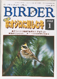 BIRDER　1998年1月号