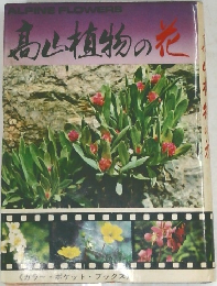高山植物の化