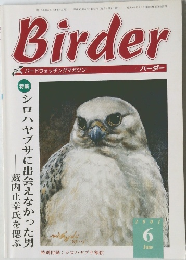 Birder　2001年6月号