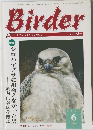Birder　2001年6月号