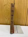 植物学