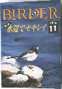 バーダー　1996年11月号