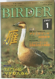 BIREER　1997年1月号
