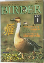 BIREER　1997年1月号