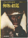 動物の図鑑