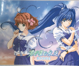 君が望む永遠