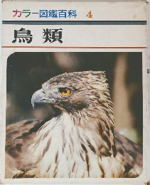 カラー図鑑百科 4　鳥類