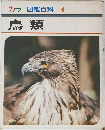 カラー図鑑百科 4　鳥類
