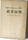 Tropical Ornamental Plants　観葉植物