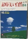 素晴らしい自然24