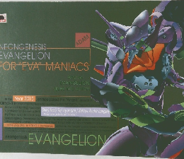 EVANGELION FOR "EVA" MANIACS
