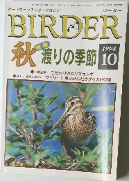 BIRDER　1998年10月号