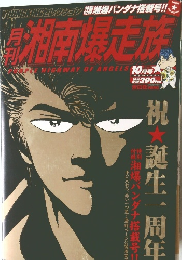 湘南爆走族