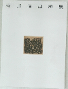 菅野陽回顧展