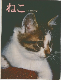 ねこ