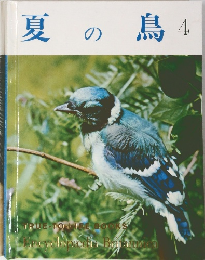 夏の鳥 4
