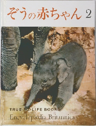 ぞうの赤ちゃん 2