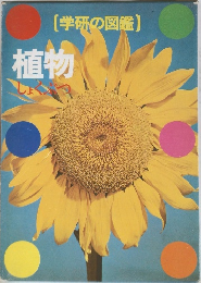 植物