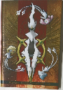 Pokemon LEGENDS Arceus ART Book