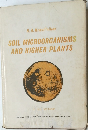 SOIL MICROORGANISMS  AND HIGHER PLANTS　