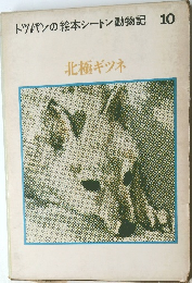北極ギツネ