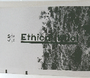 EthicalViool