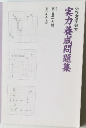実力養成問題集