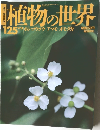 植物の世界125 