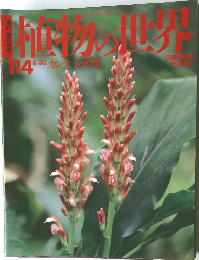 週刊 朝日百科 植物の世界 114