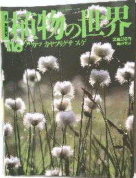 植物の世界　116