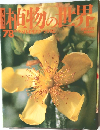 植物の世界　78