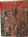 週刊 朝日百科 植物の世界 81