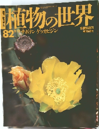 植物の世界　82