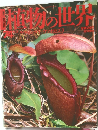 週刊 朝日百科 植物の世界 74