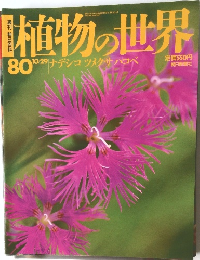 植物の世界　80号