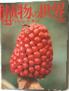植物の世界　123